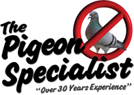 The Pigeon Specialist. Over 30 Years Experiencie Pest Control Service